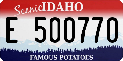 ID license plate E500770