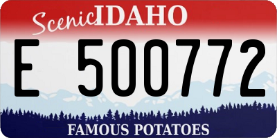 ID license plate E500772