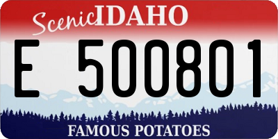 ID license plate E500801