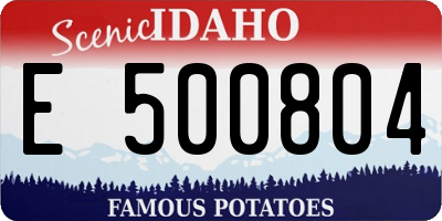 ID license plate E500804