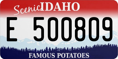 ID license plate E500809
