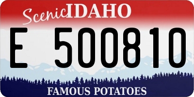 ID license plate E500810