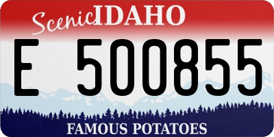 ID license plate E500855