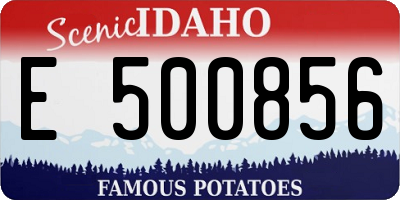ID license plate E500856