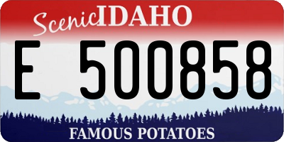 ID license plate E500858