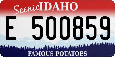 ID license plate E500859