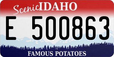 ID license plate E500863