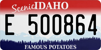 ID license plate E500864