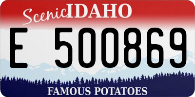 ID license plate E500869