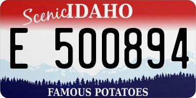 ID license plate E500894