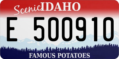 ID license plate E500910