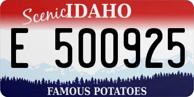 ID license plate E500925