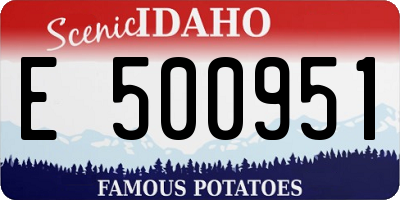 ID license plate E500951