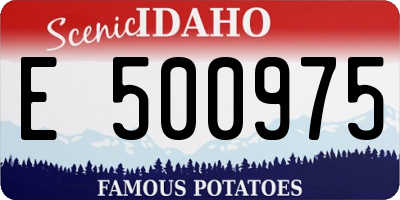 ID license plate E500975