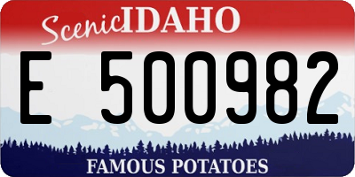 ID license plate E500982