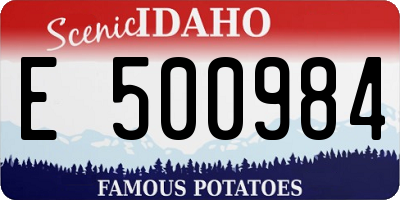 ID license plate E500984