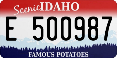 ID license plate E500987