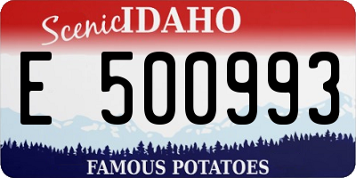 ID license plate E500993