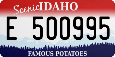 ID license plate E500995