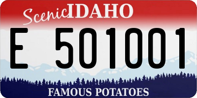 ID license plate E501001
