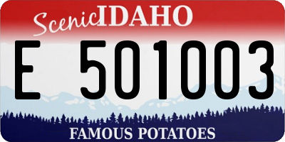 ID license plate E501003