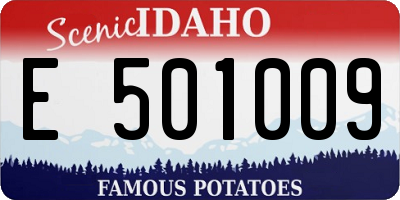 ID license plate E501009