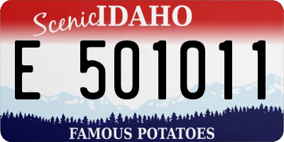 ID license plate E501011