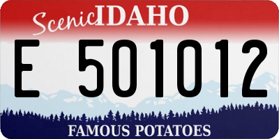 ID license plate E501012