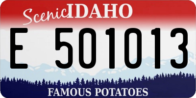 ID license plate E501013