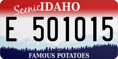 ID license plate E501015