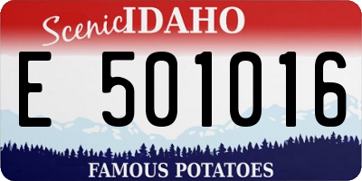 ID license plate E501016