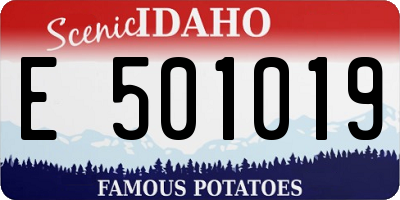 ID license plate E501019