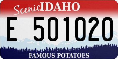 ID license plate E501020