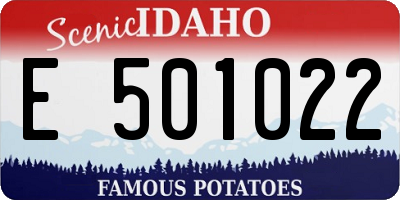 ID license plate E501022