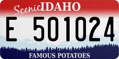 ID license plate E501024