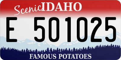 ID license plate E501025