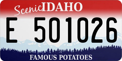 ID license plate E501026