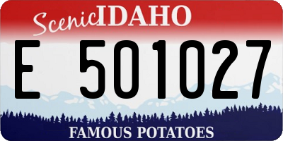 ID license plate E501027