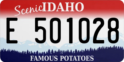 ID license plate E501028