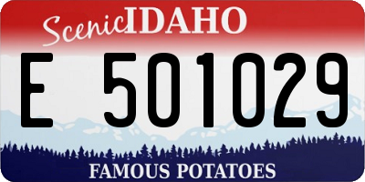 ID license plate E501029