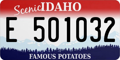 ID license plate E501032