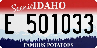 ID license plate E501033