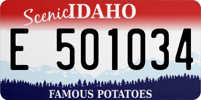 ID license plate E501034