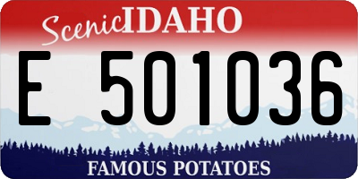 ID license plate E501036