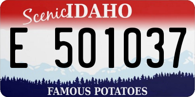 ID license plate E501037