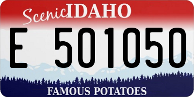 ID license plate E501050