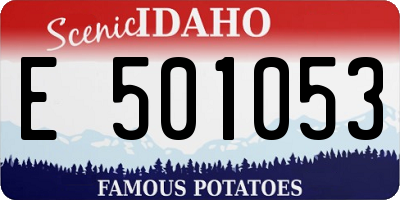 ID license plate E501053
