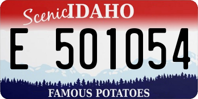 ID license plate E501054
