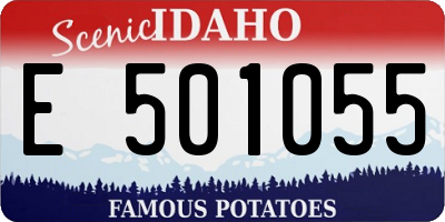 ID license plate E501055