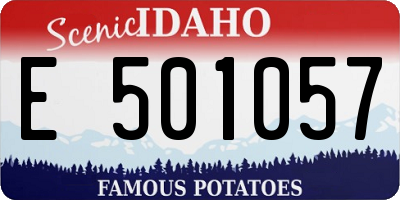 ID license plate E501057